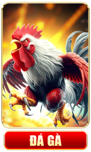 King88 đá gà